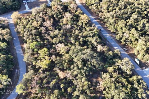 Land in North Port, Florida № 2163360 - photo 3