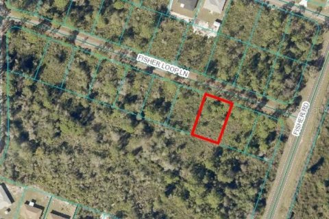 Land in Ocklawaha, Florida № 2163670