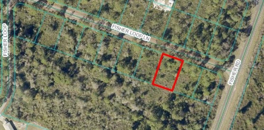 Land in Ocklawaha, Florida № 2163670