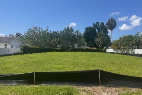 House in Tampa, Florida 5 bedrooms, 424.56 sq.m. № 1906294 - photo 6