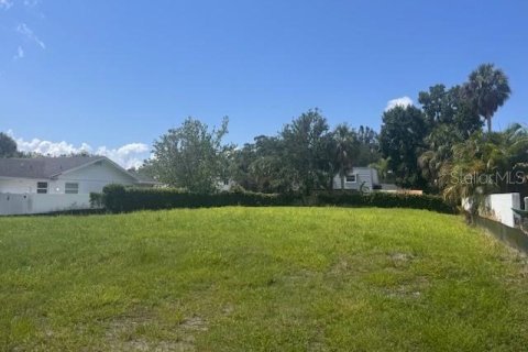 House in Tampa, Florida 5 bedrooms, 424.56 sq.m. № 1906294 - photo 4