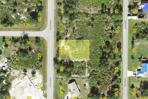 Land in Port Charlotte, Florida № 2158748