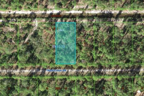 Land in Indian lake estates, Florida № 2162017