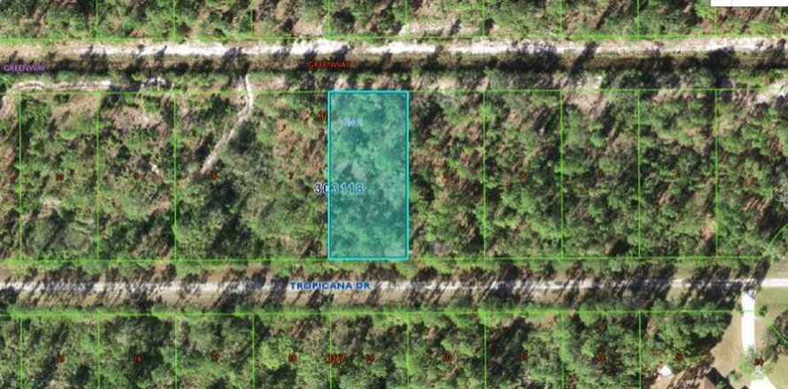 Land in Indian lake estates, Florida № 2162017