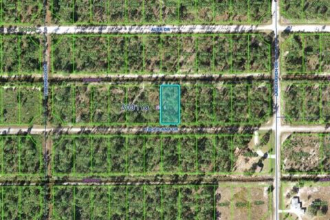 Land in Indian lake estates, Florida № 2162017 - photo 4