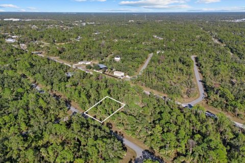 Land in Port Charlotte, Florida № 2228566 - photo 3
