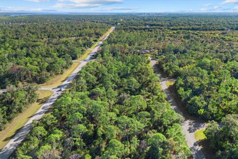 Land in Port Charlotte, Florida № 2228566 - photo 10