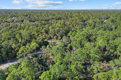 Land in Port Charlotte, Florida № 2228566 - photo 6