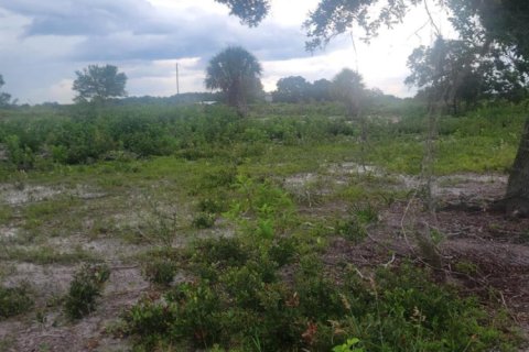 Terreno en venta en Okeechobee, Florida № 1080594 - foto 1