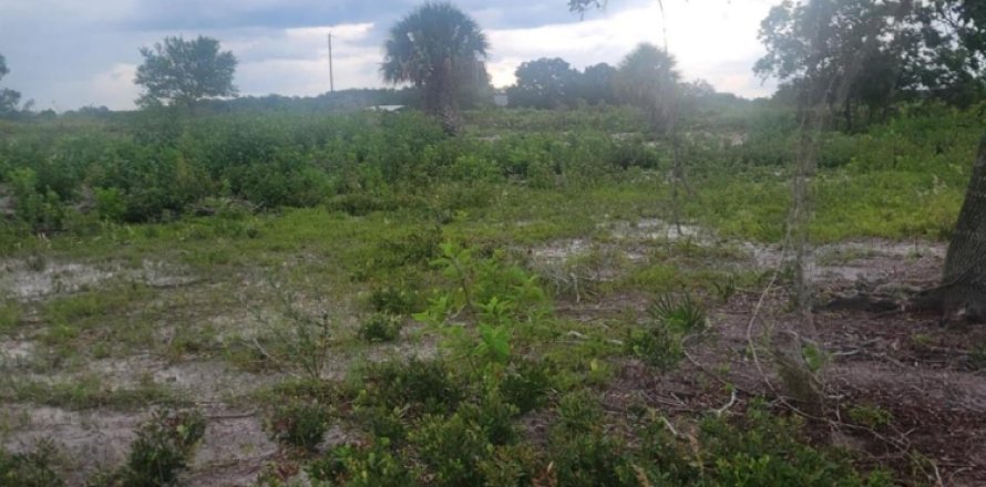 Terreno en Okeechobee, Florida № 1080594