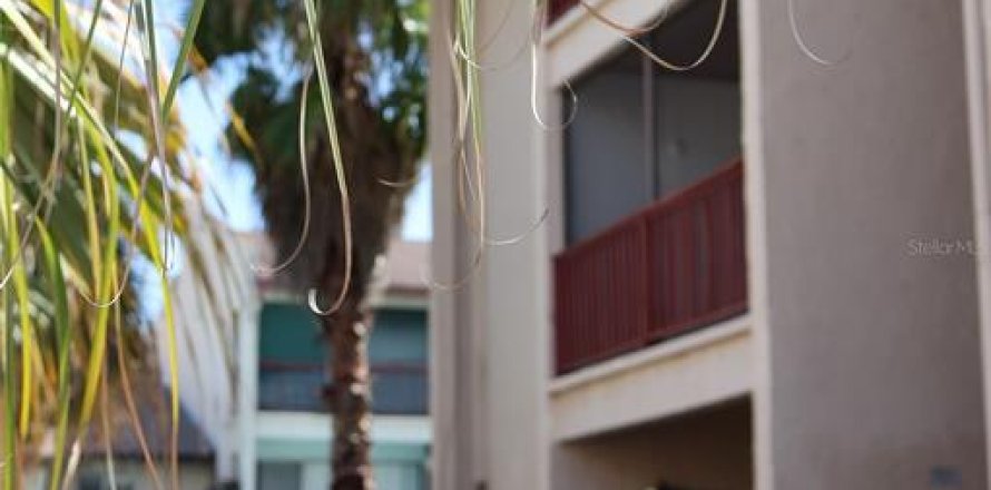Condo à Tampa, Floride, 1 chambre № 1880563