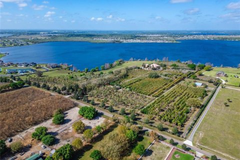 Land in Auburndale, Florida № 2108099 - photo 3