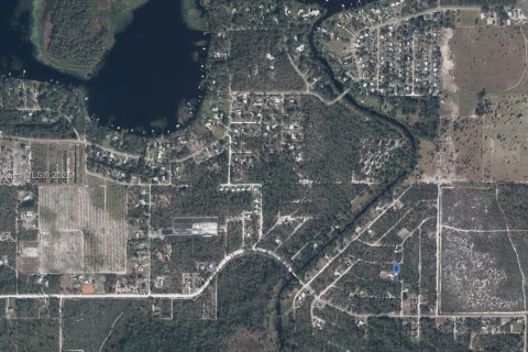 Land in Sebring, Florida № 2158443 - photo 3
