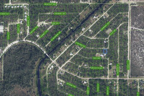 Land in Sebring, Florida № 2158443 - photo 2