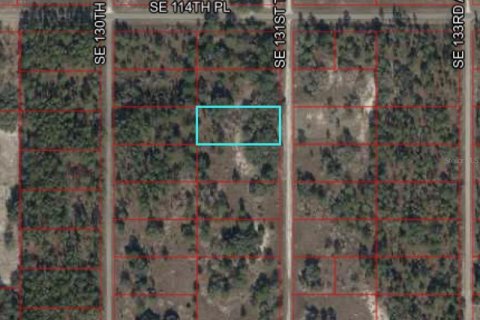 Land in Dunnellon, Florida № 2163442 - photo 7
