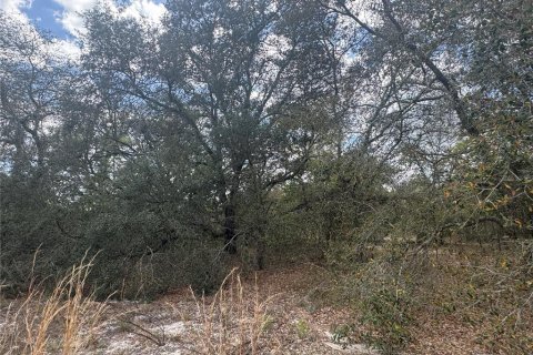 Land in Dunnellon, Florida № 2163442 - photo 5