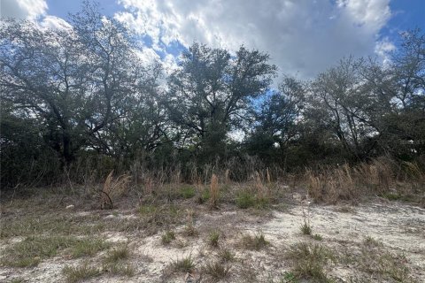 Land in Dunnellon, Florida № 2163442 - photo 2
