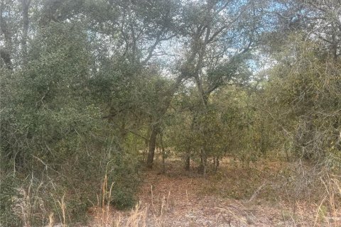 Land in Dunnellon, Florida № 2163442