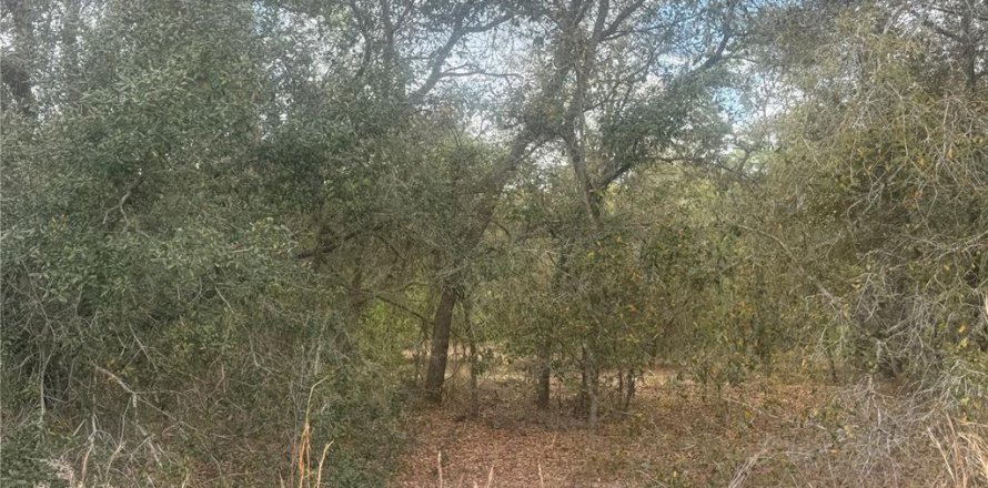 Land in Dunnellon, Florida № 2163442