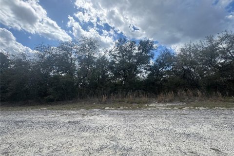 Land in Dunnellon, Florida № 2163442 - photo 4