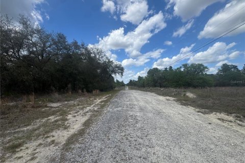 Land in Dunnellon, Florida № 2163442 - photo 3
