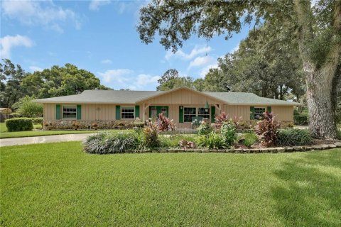 Villa ou maison à DeLand, Floride 3 chambres, 215.16 m2 № 2373549