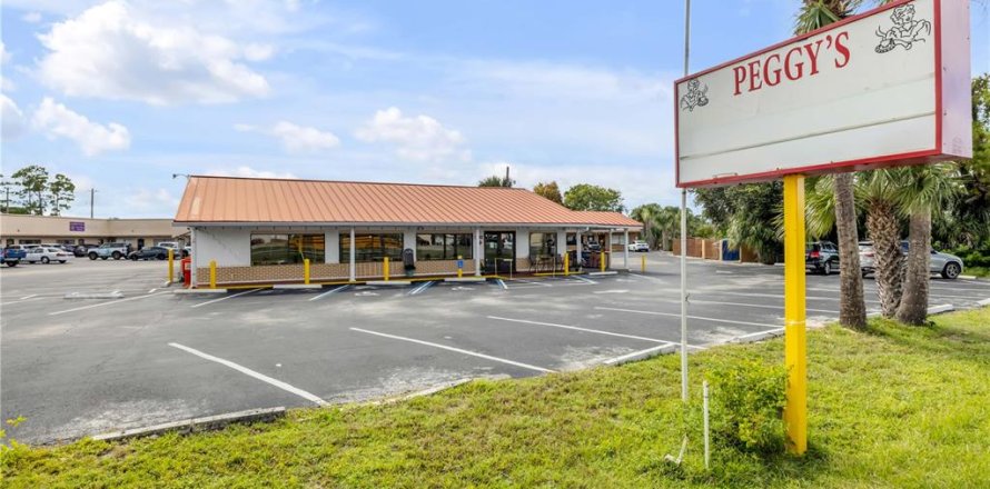 Commercial property in Edgewater, Florida 222.97 sq.m. № 1912366