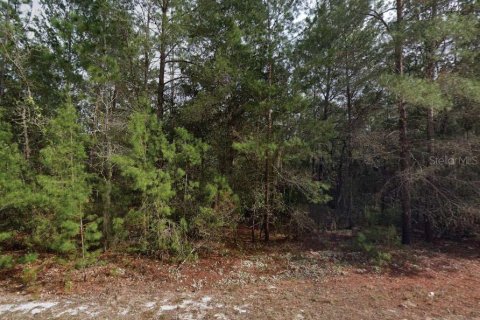 Land in Interlachen, Florida № 2162677