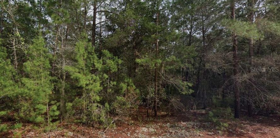 Land in Interlachen, Florida № 2162677