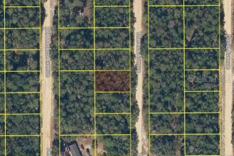 Land in Interlachen, Florida № 2162677 - photo 2