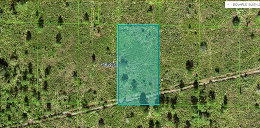 Terreno en Frostproof, Florida № 2164053