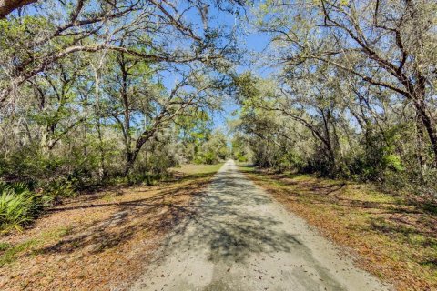 Land in Webster, Florida № 2228974 - photo 13