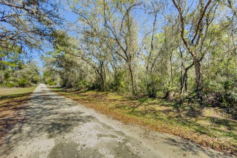 Land in Webster, Florida № 2228974 - photo 11