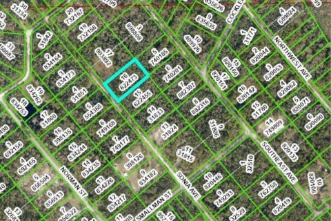 Land in Webster, Florida № 2228974 - photo 19