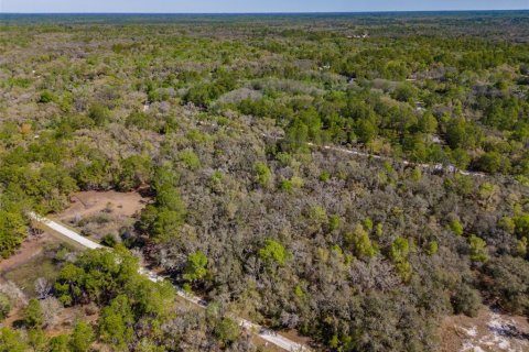 Land in Webster, Florida № 2228974 - photo 6