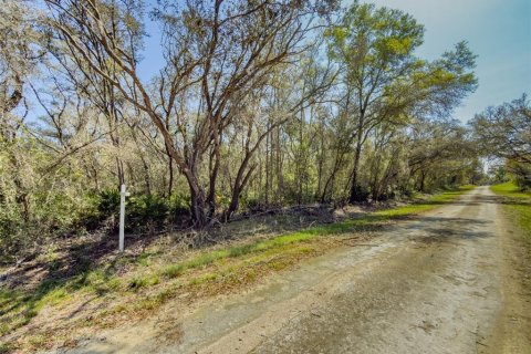 Land in Webster, Florida № 2228974 - photo 9