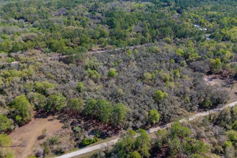 Land in Webster, Florida № 2228974