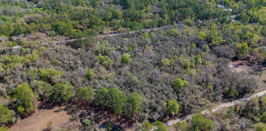 Land in Webster, Florida № 2228974