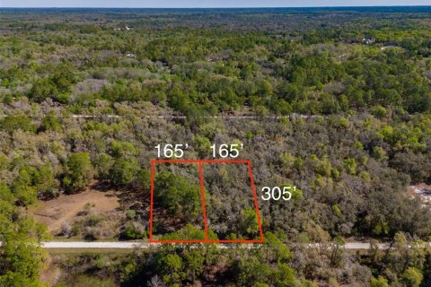 Land in Webster, Florida № 2228974 - photo 8