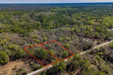 Land in Webster, Florida № 2228974 - photo 7