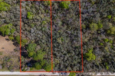 Land in Webster, Florida № 2228974 - photo 17