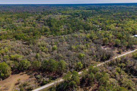 Land in Webster, Florida № 2228974 - photo 14