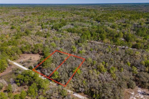 Land in Webster, Florida № 2228974 - photo 10