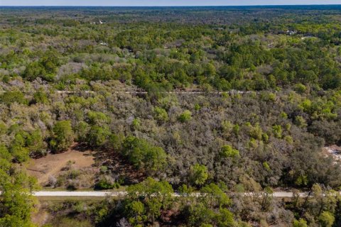 Land in Webster, Florida № 2228974 - photo 12