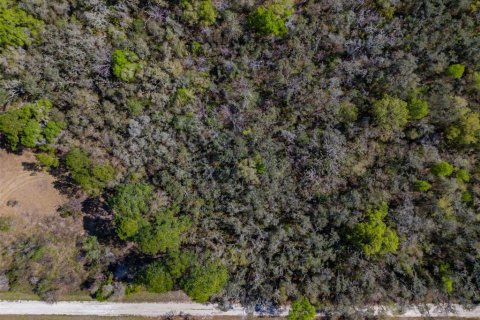 Land in Webster, Florida № 2228974 - photo 18