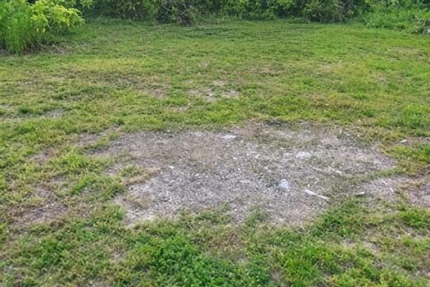 Land in Palmetto, Florida № 2369578