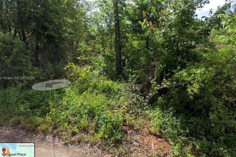 Terreno en venta en Ocala, Florida № 1965508 - foto 2