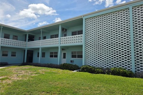 Condo à Saint Pete Beach, Floride, 1 chambre  № 2402949