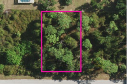 Land in Port Charlotte, Florida № 2367529