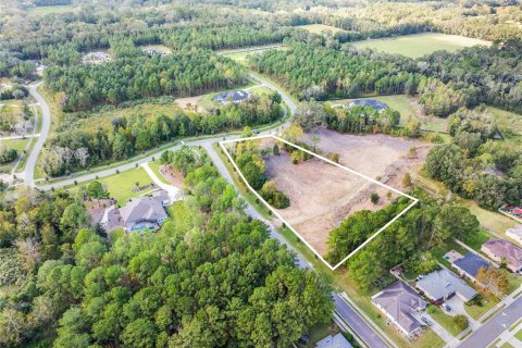 Terreno en venta en Newberry, Florida № 2284316 - foto 4